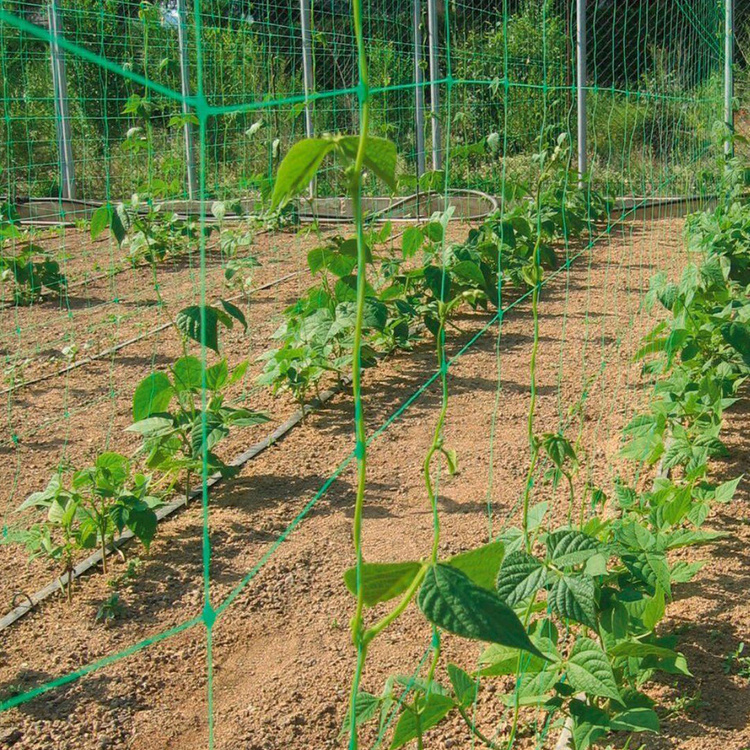 Pflanzennetz, Ranknetz, Rankhilfe, Gartennetz, Stütznetz für Kletterpflanzen - 1,8x2,7 Meter