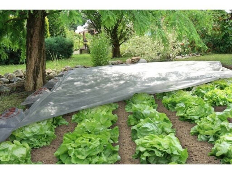 Gartenvlies Schutzvlies Pflanzvlies zur Abdeckung von Gemüsebeeten, weiß - 1,6x100 Meter