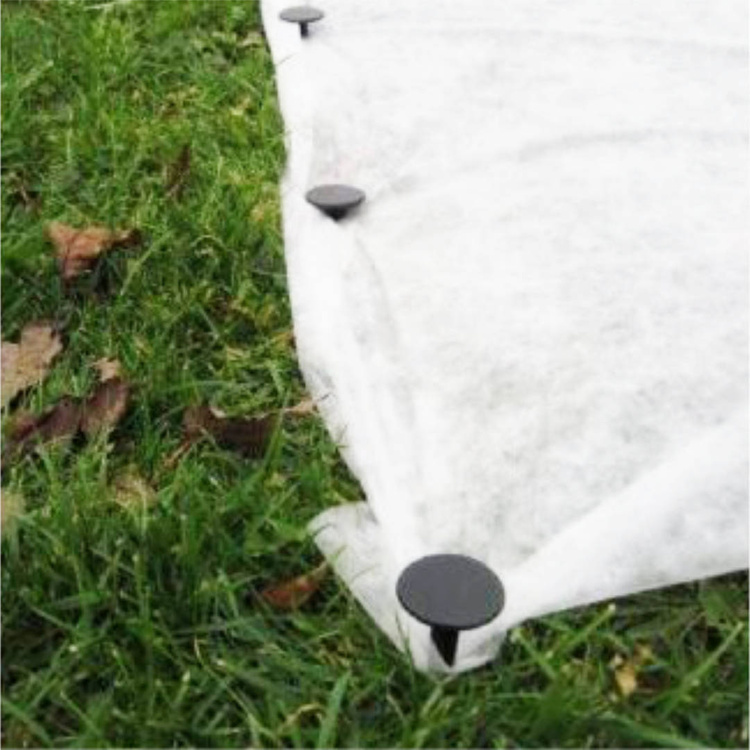 Frühling Agrotextil / Gartenvlies / Pflanzvlies zum Abdecken von Gemüsebeeten in Rolle - weiß - 1,6x50,0 Meter