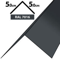 2m Winkelblech Kantblech Kante Blechwinkel pulverbeschichtetes 0,5mm, Zuschnitt 10cm -RAL-7016 Graphit