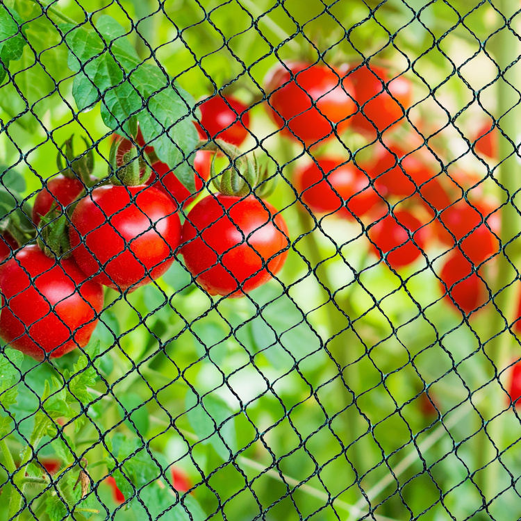 Vogelschutznetz Teichnetz Obstbaumnetz Schutznetz sehr stark - schwarz /grün - 8,0x8,0 Meter