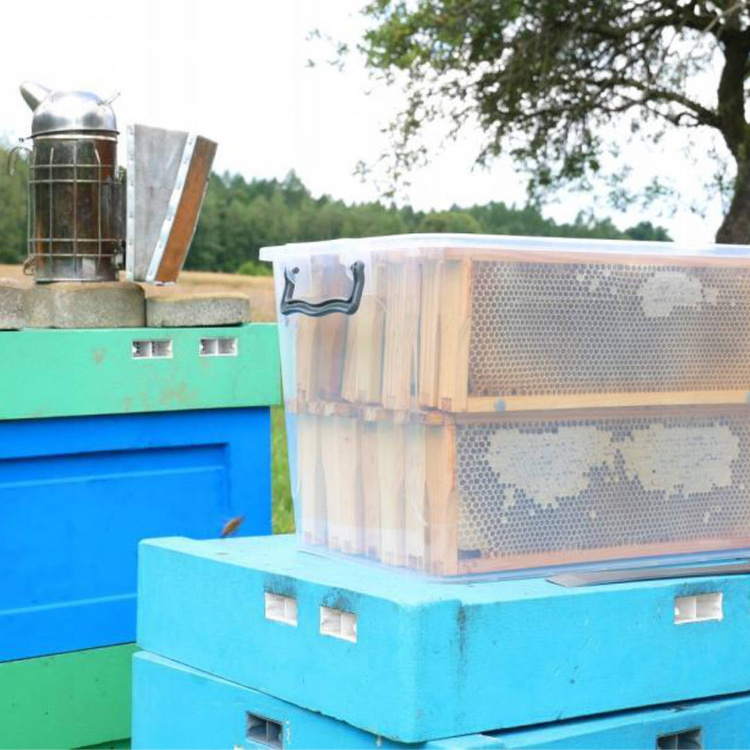 Rechteckig Behälter, Aufbewahrungsbox, Transparentbox, Kunststoffbox, Klappbox, Plastikbox – transparent – 30,00 Liter