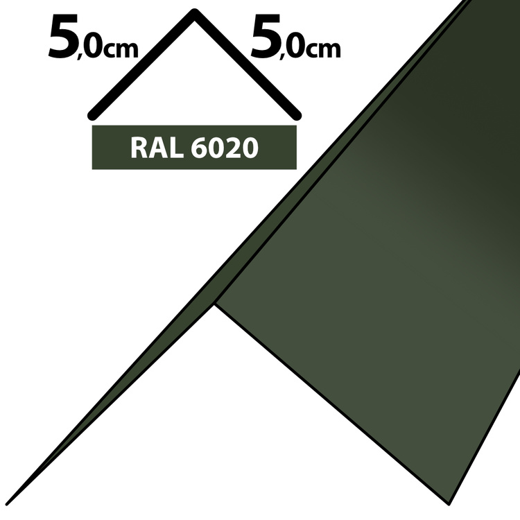 1m Winkelblech Kantblech Kante Blechwinkel pulverbeschichtetes 0,5mm, Zuschnitt 10cm -RAL-6020 Chromooxidgrün