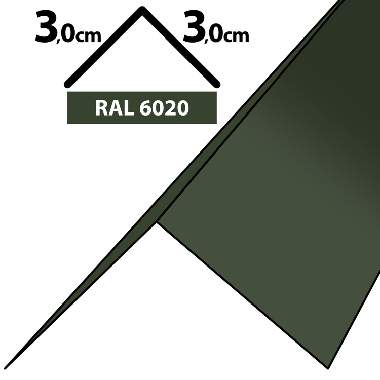 1m Winkelblech Kantblech Kante Blechwinkel pulverbeschichtetes 0,5mm, Zuschnitt 6cm -RAL-6020 Chromooxidgrün