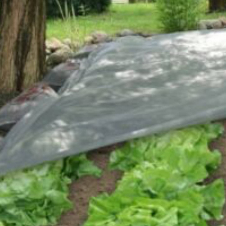 Frühling Agrotextil / Gartenvlies / Pflanzvlies zum Abdecken von Gemüsebeeten - weiß - 3,2x10,0 Meter