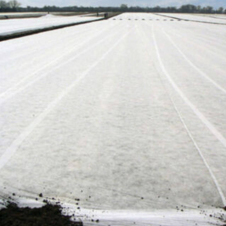 Frühling Agrotextil / Gartenvlies / Pflanzvlies zum Abdecken von Gemüsebeeten in Rolle - weiß - 1,6x100,0 Meter