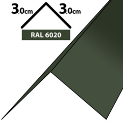 1m Winkelblech Kantblech Kante Blechwinkel pulverbeschichtetes 0,5mm, Zuschnitt 6cm -RAL-6020 Chromooxidgrün