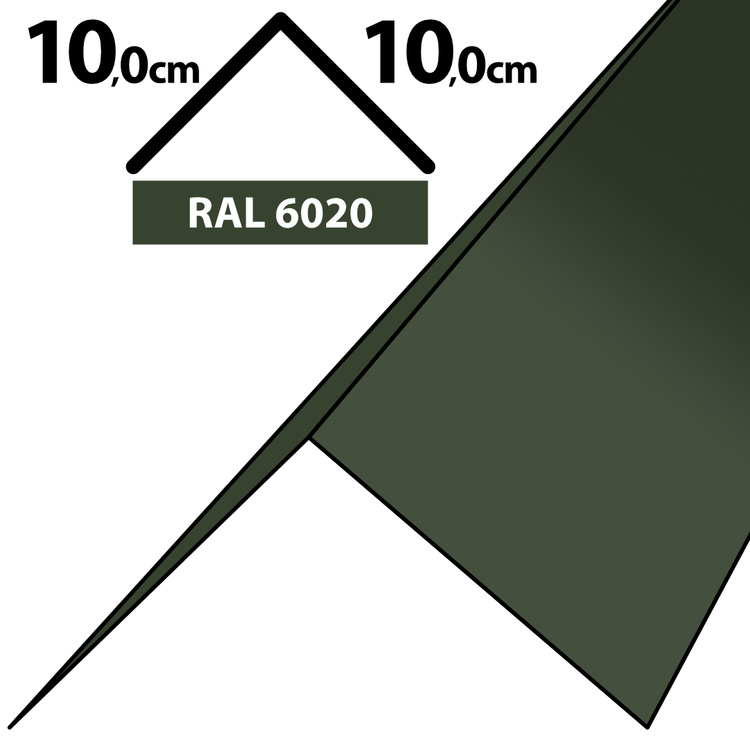 1m Winkelblech Kantblech Kante Blechwinkel pulverbeschichtetes 0,5mm, Zuschnitt 20cm -RAL-6020 Chromooxidgrün