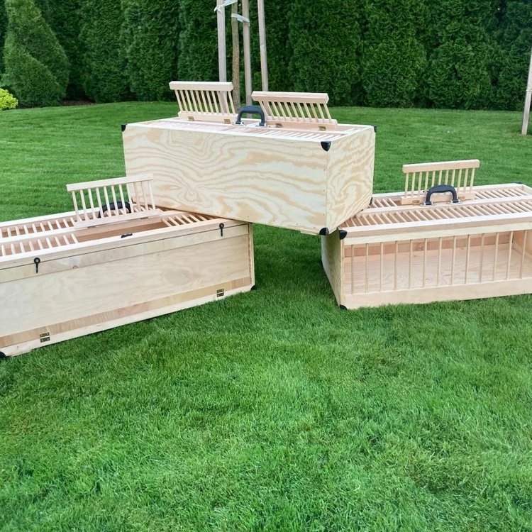 Transportkorb Transportkiste für Tauben - 80 x 40 cm