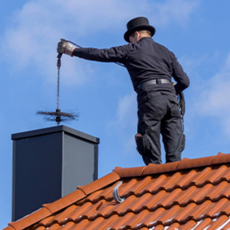 Kaminbürste mit Flachdraht - Ø 200 mm