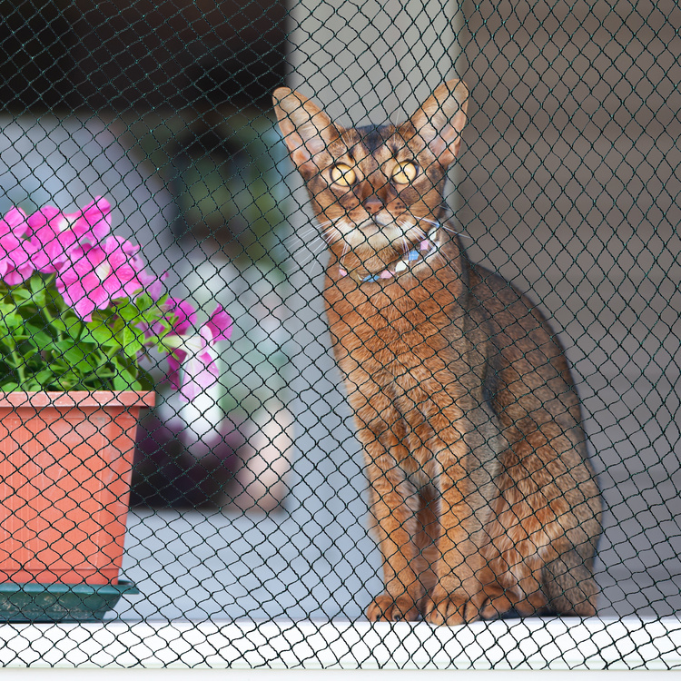 Vogelschutznetz Teichnetz Obstbaumnetz Schutznetz sehr stark - schwarz/grün - 6,0x3,0 Me