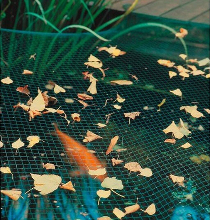 Vogelschutznetz Teichnetz Obstbaumnetz Schutznetz sehr stark - schwarz - 5,0x10,0 Meter