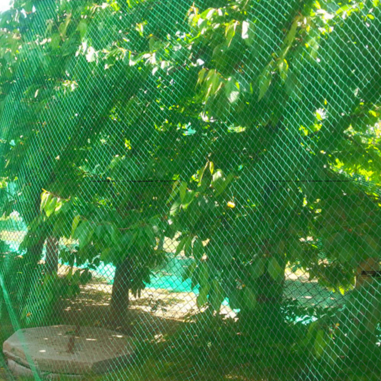 Vogelschutznetz Teichnetz Obstbaumnetz Schutznetz sehr stark - schwarz /grün - 8,0x25,0 Meter