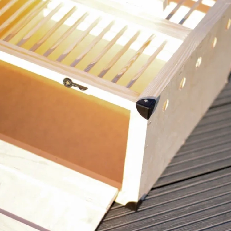 Transportkorb Transportkiste für Tauben mit zwei Abteilen - 80x60 cm